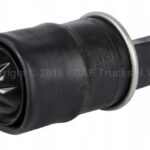 e22bc1208a4c602f27b3d2c50624ab00