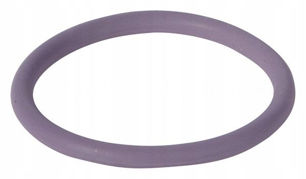 PIERŚCIEŃ O-RING WTRYSKIWACZA DAF OE [1638270]