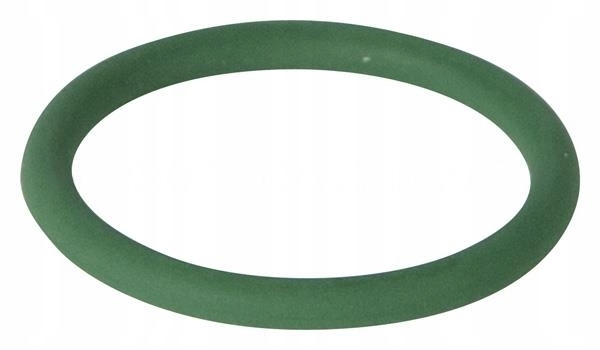 O-RING WTRYSKIWACZA DAF OE CF95 XF95 [1301890]
