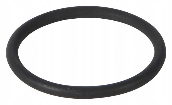 ORING WTRYSKIWACZA DAF CF75 XF95 XF105